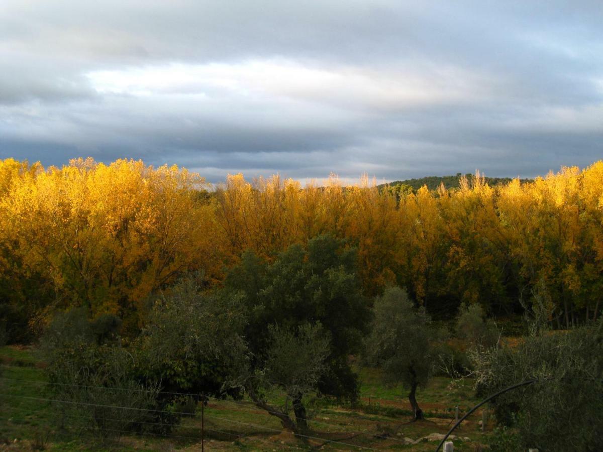 Villa Vivienda Rural Olivar Del Chanza Cortegana