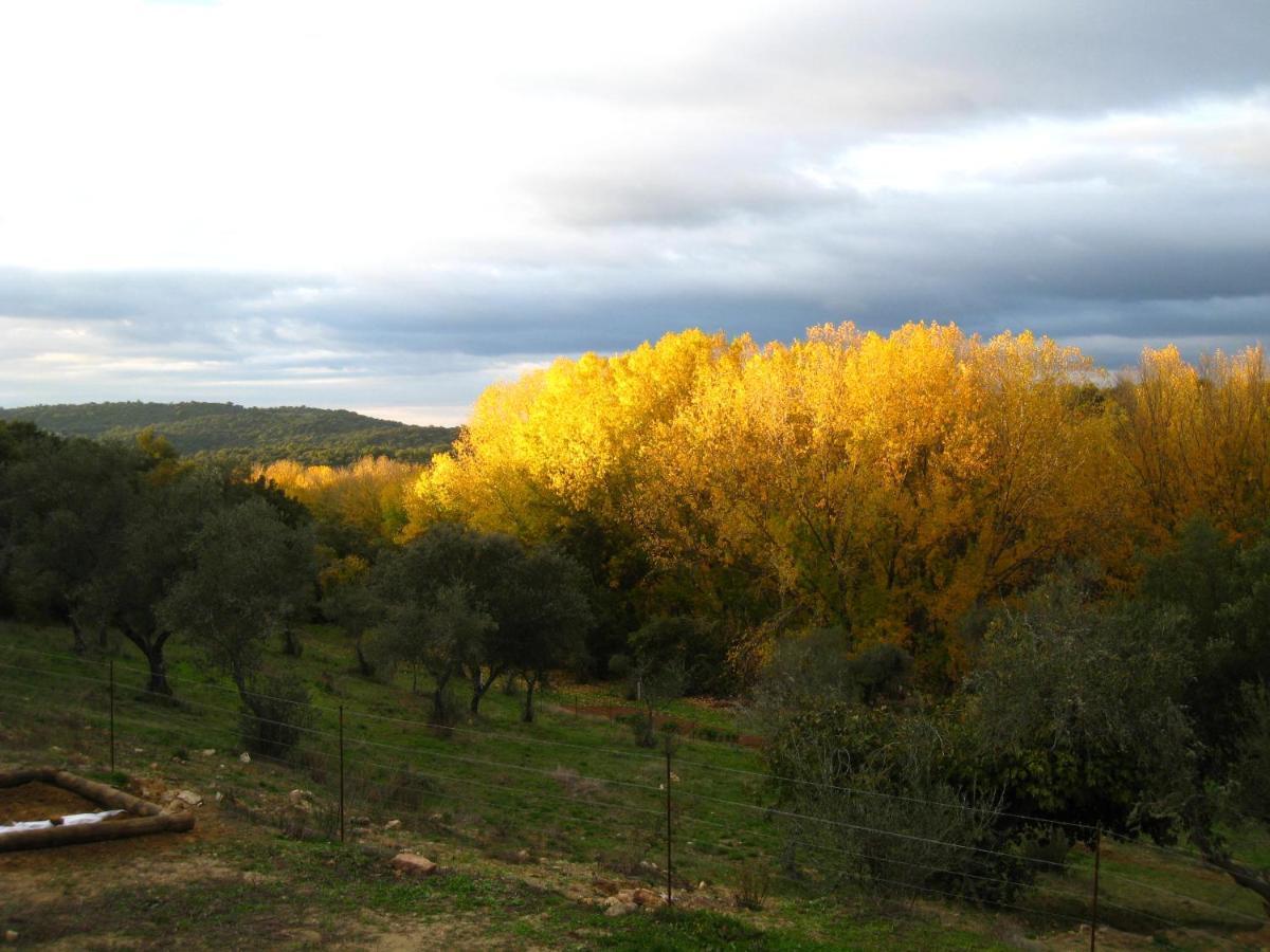 Vivienda Rural Olivar Del Chanza Villa